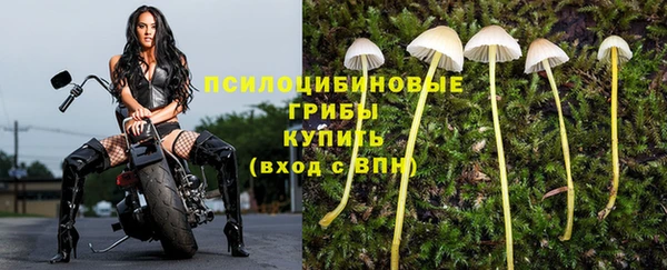 мяу мяу мука Коряжма