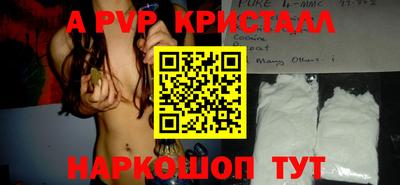 прущие крисы Кингисепп