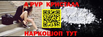 прущие крисы Кингисепп