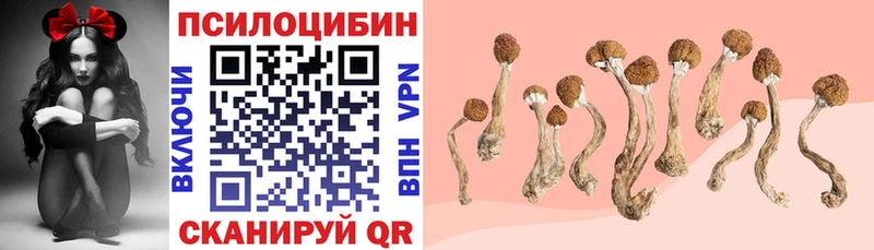 darknet состав  Сосновый Бор  Галлюциногенные грибы ЛСД  где найти   kraken tor 
