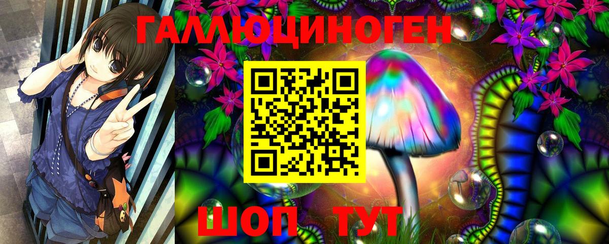 Сосновый Бор  Галлюциногенные грибы Magic Shrooms  Вход с VPN 