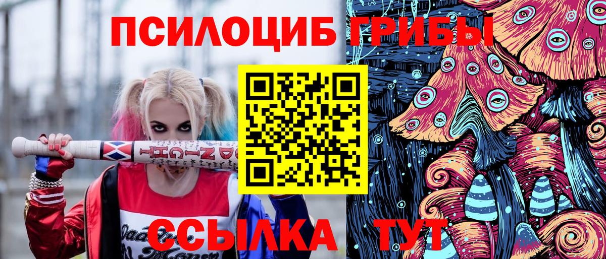 Псилоцибиновые грибы мухоморы  Сосновый Бор 