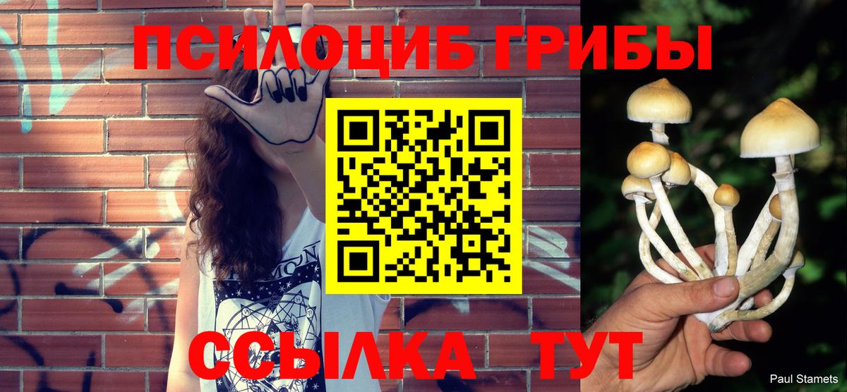 Гашиш  Сосновый Бор  ЭКСТАЗИ  Мефедрон   APVP СК   Конопля 