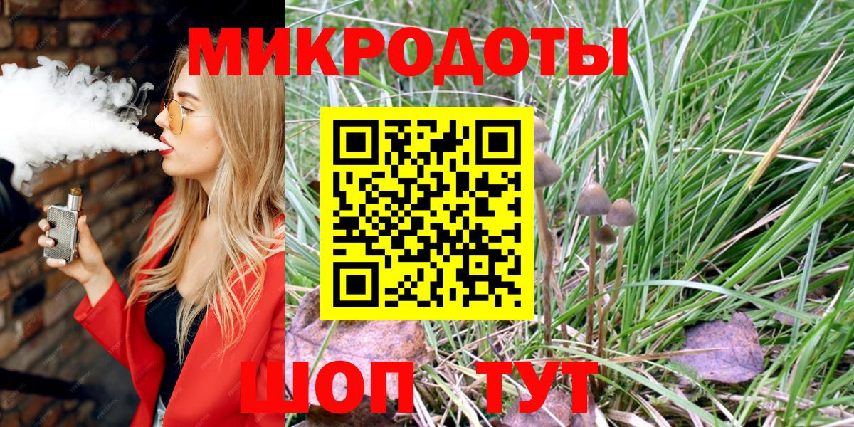 Псилоцибиновые грибы мицелий Сосновый Бор