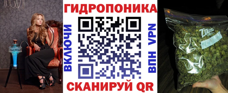 продажа наркотиков  Сосновый Бор  Шишки марихуана сатива 