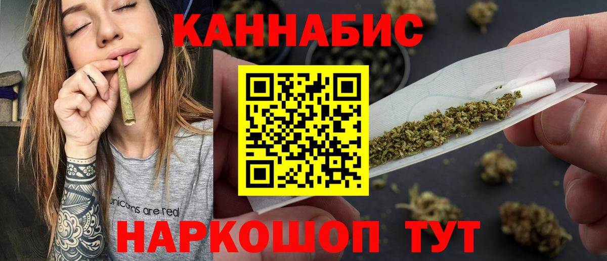 Конопля OG Kush Сосновый Бор